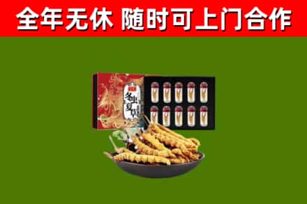 嵊州市烟酒回收冬虫夏草礼盒.jpg